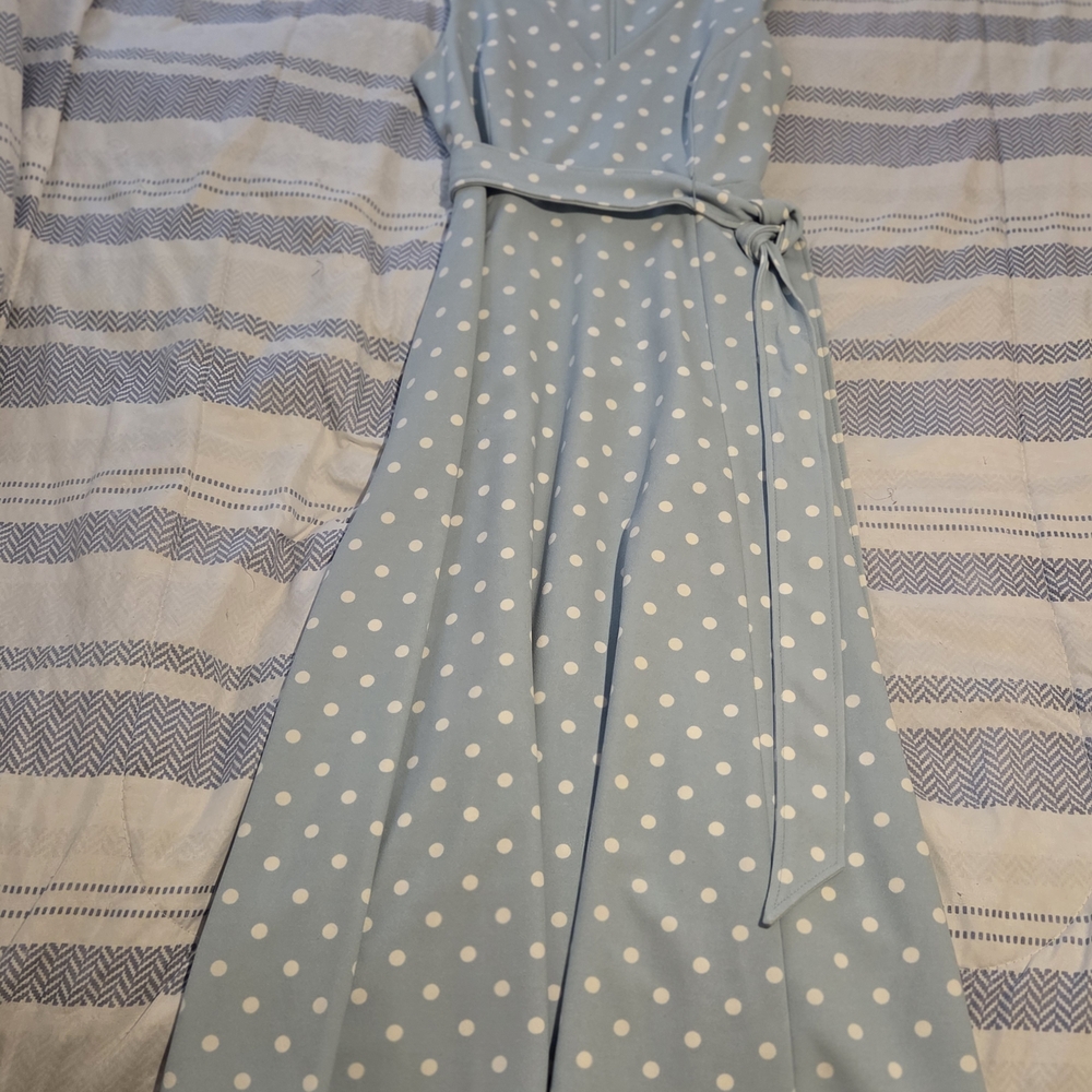Calvin Klein Light Blue and White Polka Dot Maxi Dress